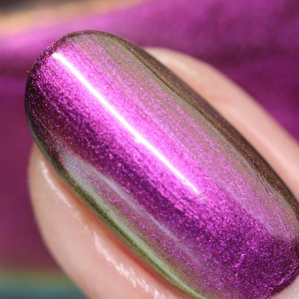 Cats' Evasion - Image 6