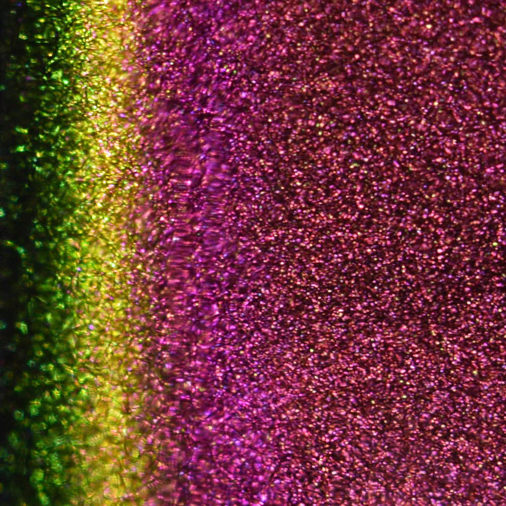 Cats' Evasion - Image 9